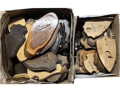 Lot 422 - Taxidermy Shields: One Hundred & Fifty...