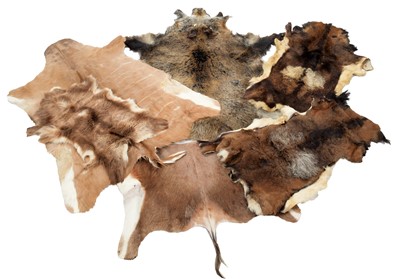 Lot 1127 - Skins/Hides: A Group of European & African...