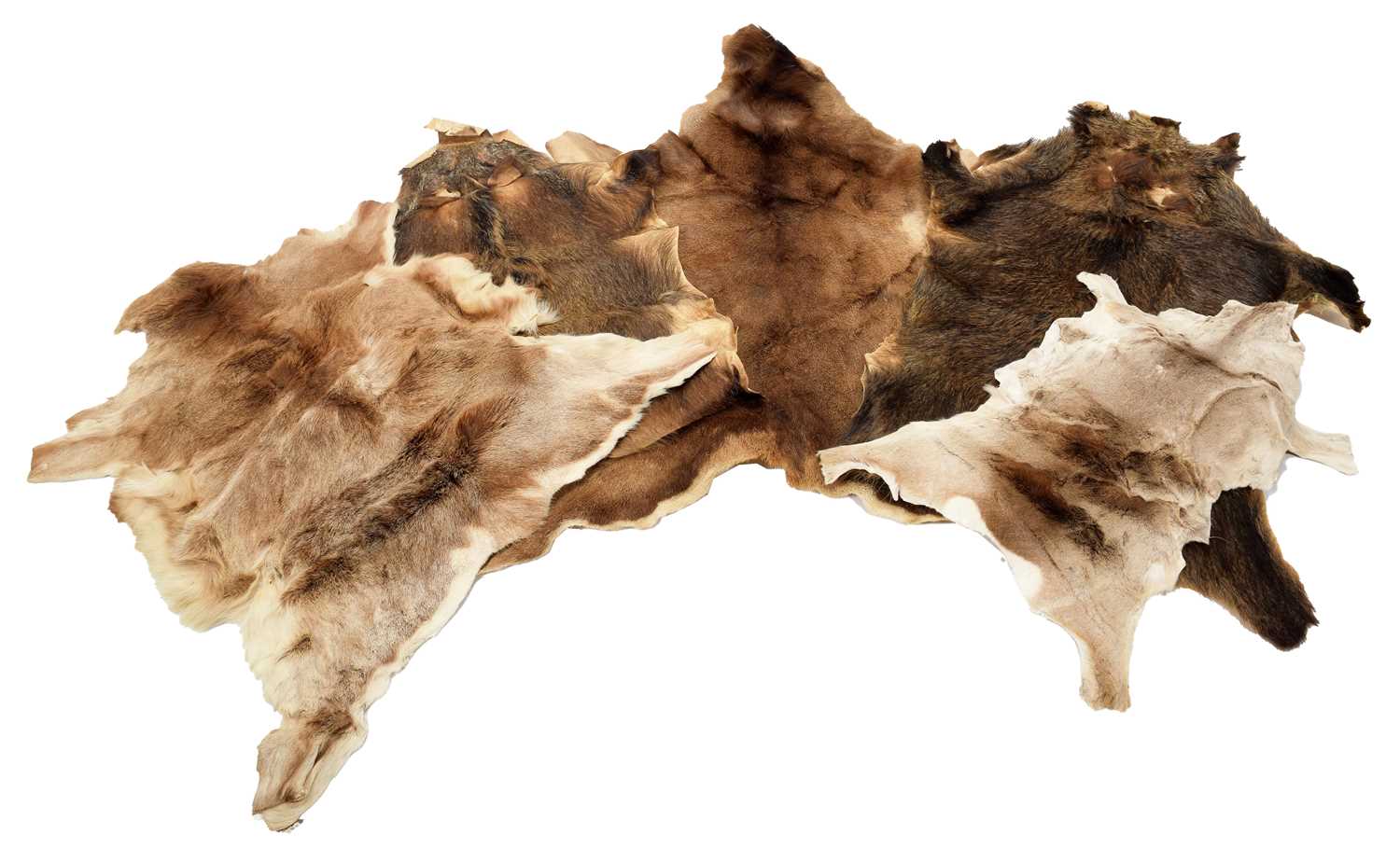 Lot 1168 - Skins/Hides: A Large Group of European