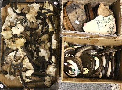 Lot 407 - Shields/Horns/Tusks: A Collection of Alpine...