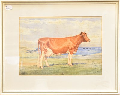 Lot 1155 - Dorothy Margaret (1900-1992) & Elizabeth Mary...