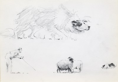 Lot 1029 - Brian Irving (1931-2013) Studies for sheep...