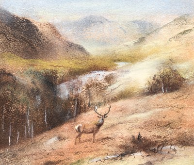 Lot 1004 - Raoul Millais (1901–1999) Red Stag in an...