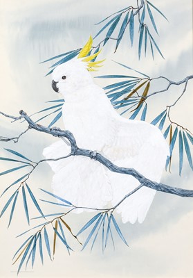 Lot 1020 - Robin Hill (b.1932) "Sulphur Crested Cockatoo"...