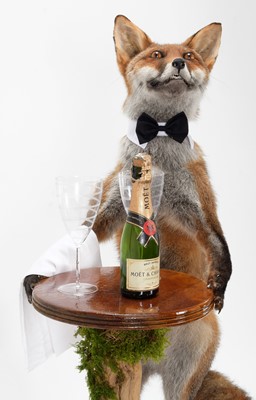 Lot 1242 - Anthropomorphic Taxidermy: A Red Fox...