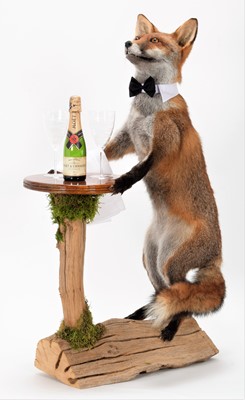 Lot 1242 - Anthropomorphic Taxidermy: A Red Fox...