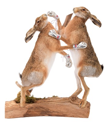 Lot 86 - Anthropomorphic Taxidermy: A Pair of Boxing...