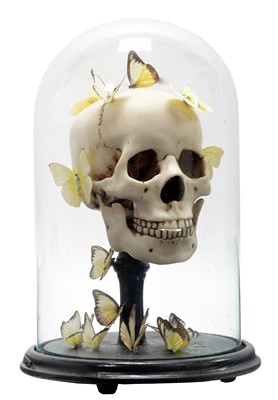 Lot 208 - Anatomy/Skulls/Entomology: A Butterfly Human...