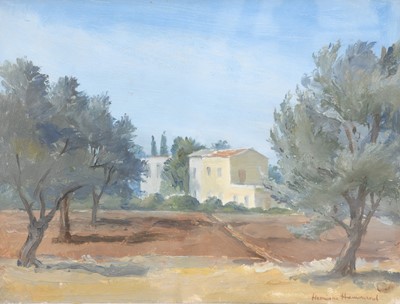 Lot 1012 - Hermione Hammond (1910-2005) "An Olive Grove,...