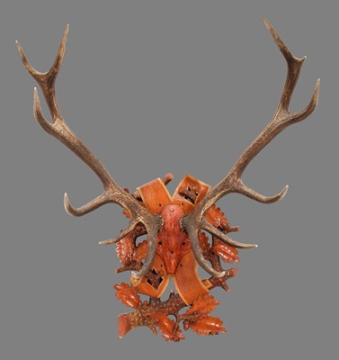 Lot 1184 - Antlers/Horns: A Large Set of European Royal...