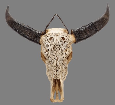 Lot 1137 - Skulls/Horns: A Carved Asian Water Buffalo...