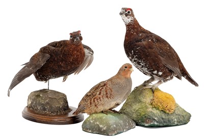 Lot 1223 - Taxidermy: A Pair of Red Grouse & Grey...