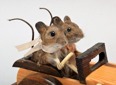 Lot 1140 - Anthropomorphic Taxidermy: Driving Field Mice,...