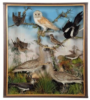 Lot 126 - Taxidermy: A Large Cased Display of European...