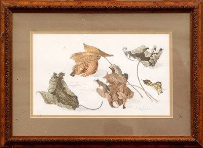 Lot 1033 - Eleanor Patricia Dyson (b.1922) Winter Leaves...