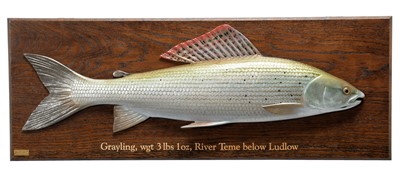 Lot 156 - Natural History: A Hand Carved Wooden Grayling...