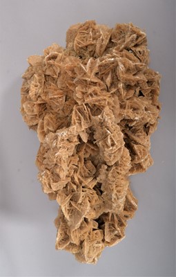 Lot 147 - Minerals: A Large Desert Rose Formation, a...