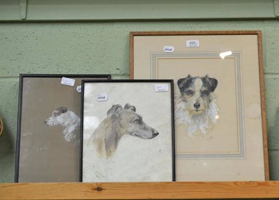 Lot 495 - D.Wright, portrait studies of a terrier and whippet, signed watercolours; and P.F Alexander, a...