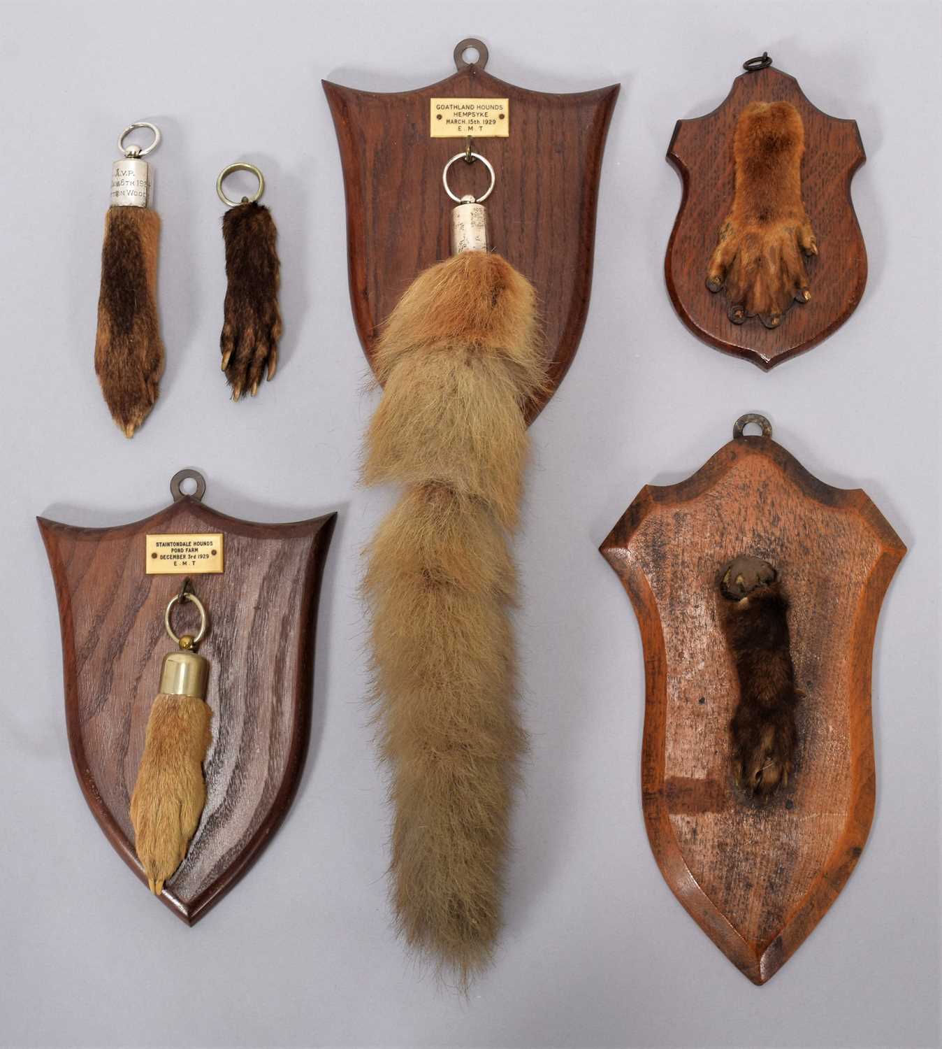 Lot 171 - Taxidermy: An Early 20th Century Collection of...