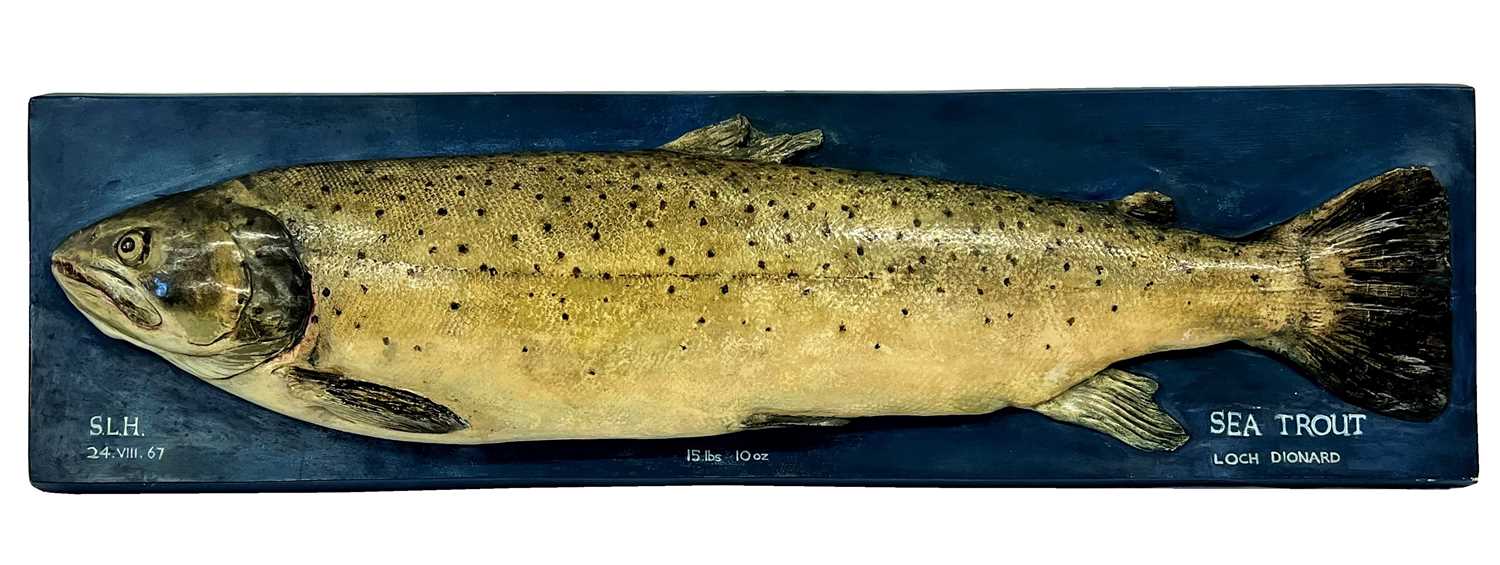 Lot 153 - Natural History: A Large Plaster Cast of a Sea...