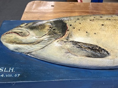 Lot 153 - Natural History: A Large Plaster Cast of a Sea...