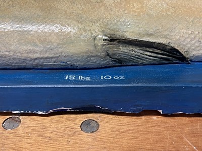 Lot 153 - Natural History: A Large Plaster Cast of a Sea...