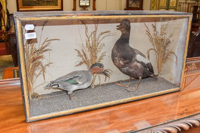 Lot 1096 - Taxidermy: A Late Victorian Cased Eurasian...