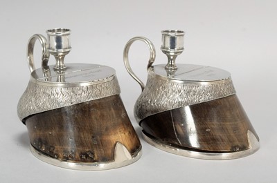 Lot 189 - Natural History: A Pair of George V Silver and...