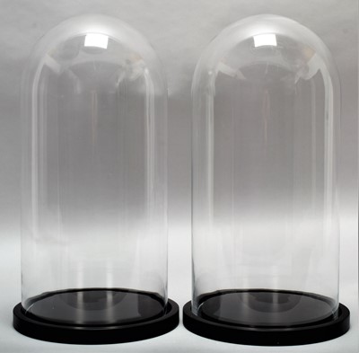 Lot 193 - Glass Domes: A Pair of Circular Glass Domes,...