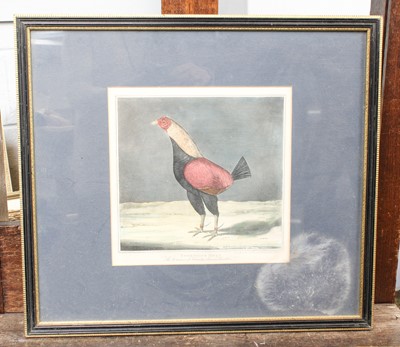 Lot 1009 - Sydney Edwards (19th Century) After Robert...