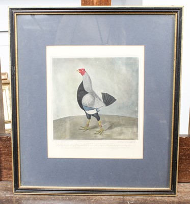 Lot 1009 - Sydney Edwards (19th Century) After Robert...