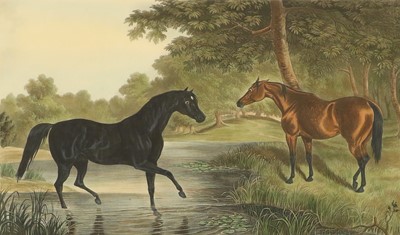 Lot 377 - After G H Laporte "The British Stud" "Sir...