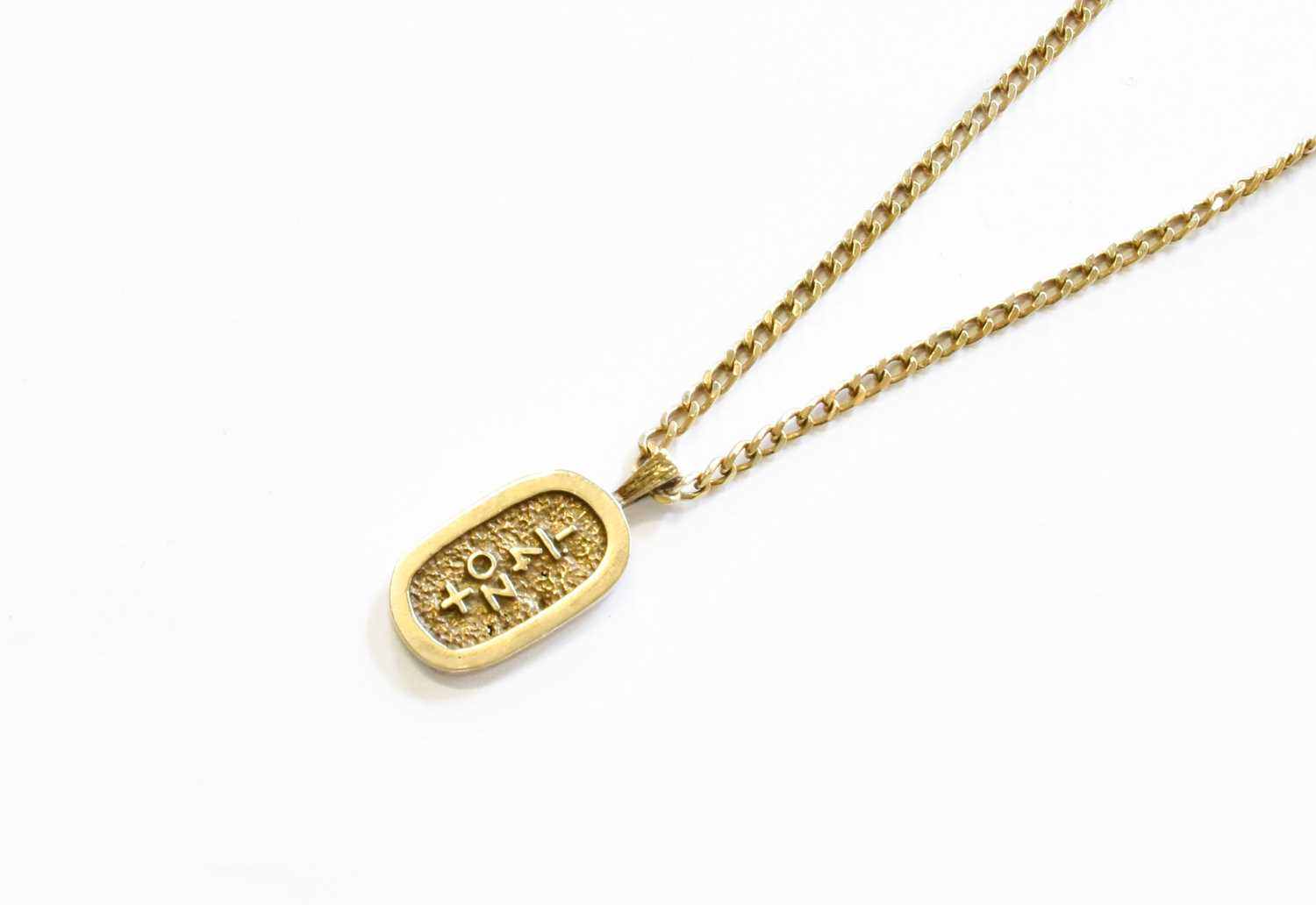 Lot 142 - A 9 Carat Gold Pendant on Chain, pendant...