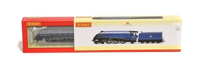 Lot 223 - Hornby (China) OO Gauge R3320 Golden Eagle BR 60023 Locomotive