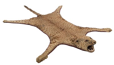 Lot 272 - Taxidermy: African Leopard Skin Rug (Panthera...