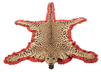 Lot 254 - Taxidermy: Indian Leopard Skin Rug (Panthera...