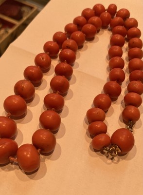 Lot 41 - A Graduated Coral Bead Necklace, length 52cm