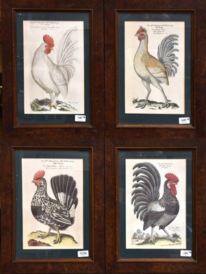 Lot 1039 - A Set of Four 20th Century German Cockerel Prints