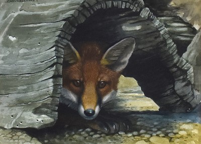 Lot 1034 - David Binns (1935-2010) Fox at rest in a...