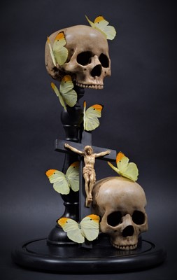 Lot 211 - Anatomy/Skulls/Entomology: A Pair of Butterfly...