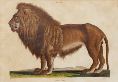 Lot 1020 - After J* Chapman (18th/19th Century) "The Lion"...