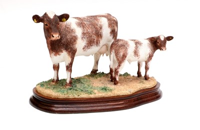Lot 60 - Border Fine Arts 'Beef Shorthorn Cow and Calf',...
