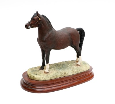 Lot 57 - Border Fine Arts 'Welsh Mountain Pony' (Style...