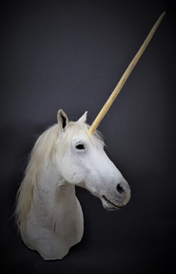 Lot 319 - Taxidermy: A Mystical Unicorn Shoulder Mount,...