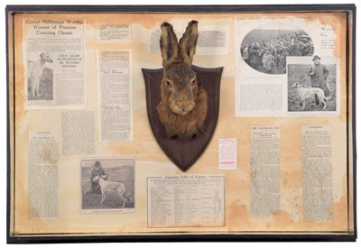 Lot 323 - Taxidermy: A Cased European Hare Mask &...