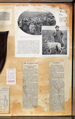 Lot 323 - Taxidermy: A Cased European Hare Mask &...