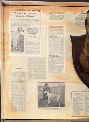 Lot 323 - Taxidermy: A Cased European Hare Mask &...