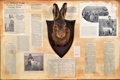 Lot 323 - Taxidermy: A Cased European Hare Mask &...