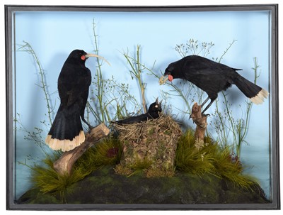 Lot 247 - Taxidermy: A Cased Re-creation of a Family of...