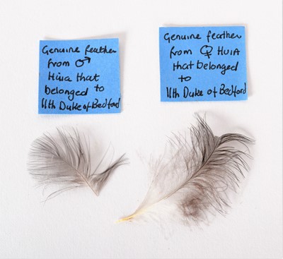 Lot 247 - Taxidermy: A Cased Re-creation of a Family of...